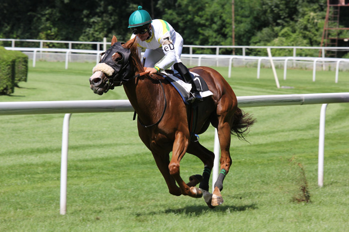A jockey racing on a horse